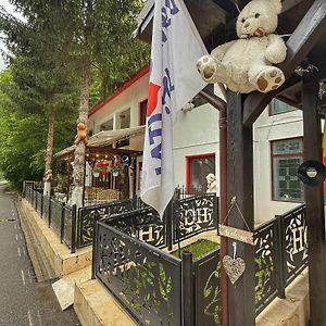 Hotel Gâlma